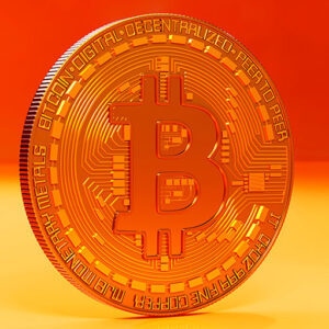Orange Standard Explains Who Owns the Most Bitcoin in the World Today